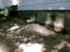 IMG_0008.jpg (70801 bytes)