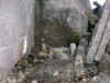 IMG_0308.jpg (104787 bytes)